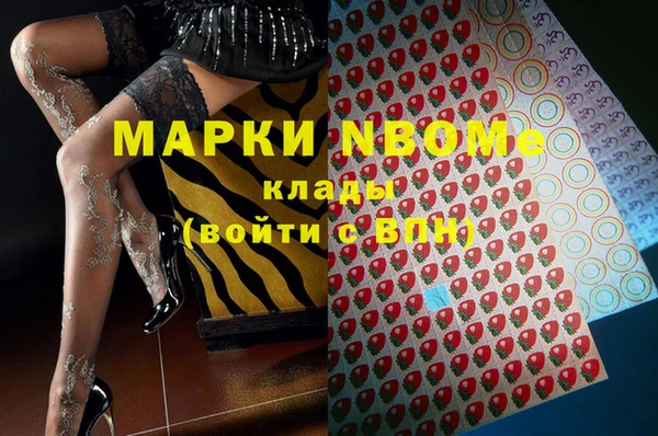 стафф Верхний Тагил