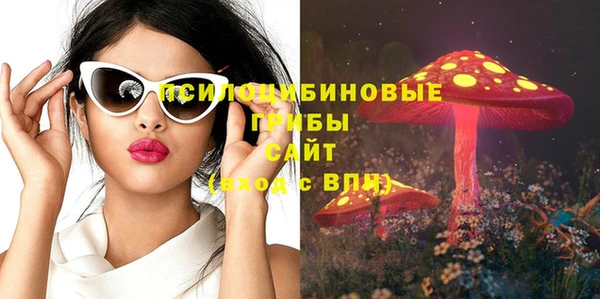 стафф Верхний Тагил