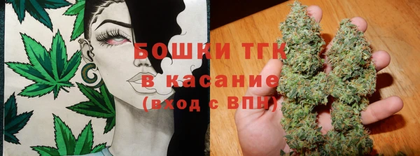 спиды Бородино