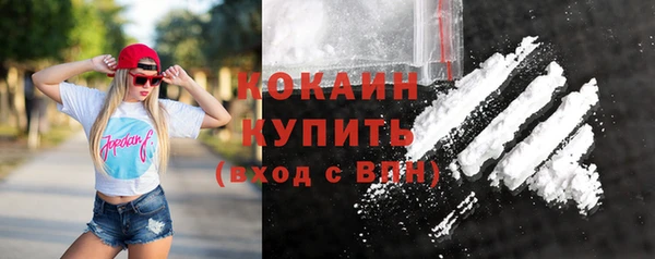 спиды Бородино