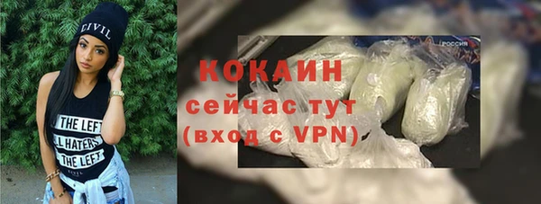 спиды Бородино