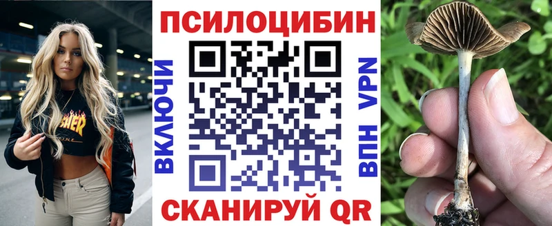 KRAKEN вход  Свирск  Галлюциногенные грибы Psilocybe  хочу  
